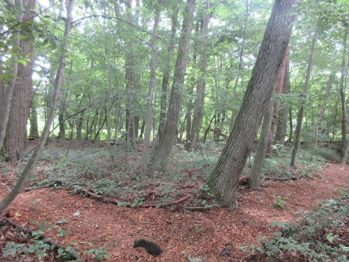Dogruncafe & Resorts Jennie West-Karuizawa Miyota ภายนอก รูปภาพ